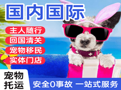 衡阳南岳空运代理国际宠物托运 【国
